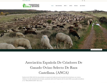Asociación Española De Criadores De Ganado Ovino Selecto De Raza Castellana.ra